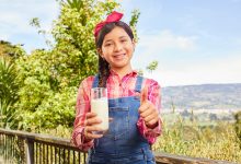 La leche es esencial en la alimentación de los niños y de los adultos, especialmente durante los primeros 25 o 30 años que es cuando se forma la masa ósea y esta proteína es la principal fuente.