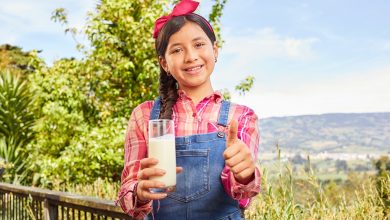 La leche es esencial en la alimentación de los niños y de los adultos, especialmente durante los primeros 25 o 30 años que es cuando se forma la masa ósea y esta proteína es la principal fuente.