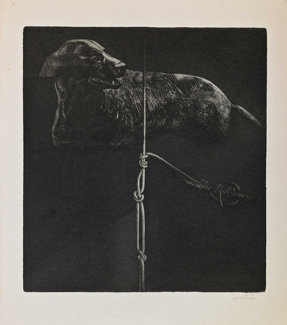 Amarraperros. Colección de Arte del Banco de la República