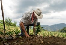 Foto de elespectador